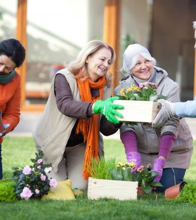Top 5 Fun Activities for Seniors in Utah