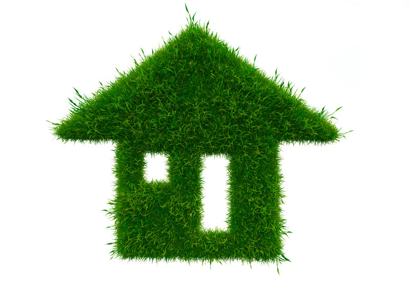 Dreamstimes79914878 Beauty Army greener homes sustaining the environment