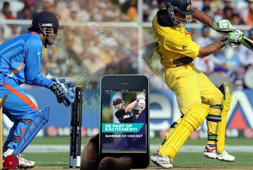 know how to bet in a cricket game