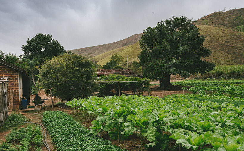 how small scale farms can maximize profits