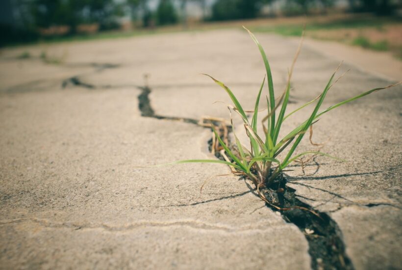 Signs Your Home Needs Professional Concrete Repair