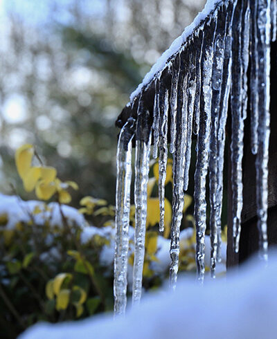 Smart Strategies to Escape Your Winter Problems