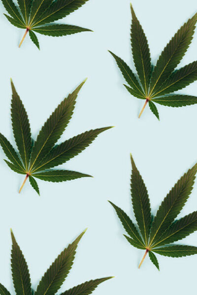 Can THC and CBD really help you with nausea and vomiting?