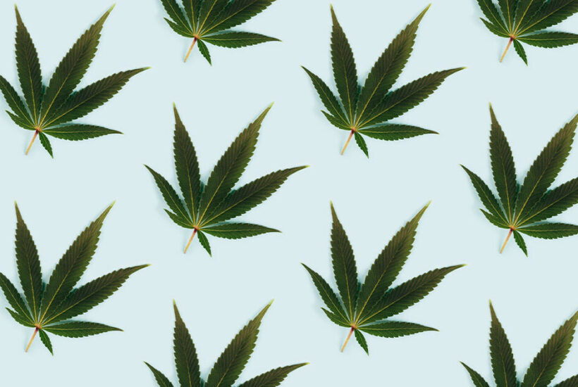 can thc and cbd really help you with nausea and vomiting