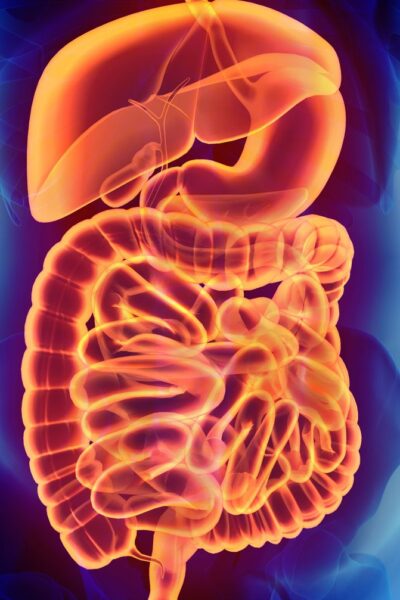 7 Less-Known Facts About The Digestive System