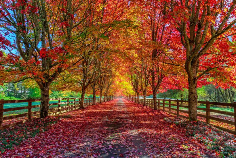 when autumn occurs