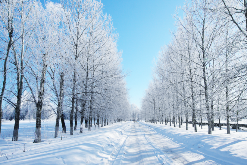 our best tips for the winter season