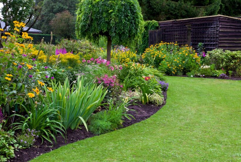 4 tips for keeping a thriving garden in poor drainage areas
