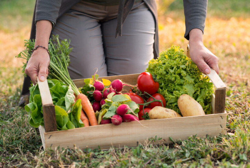 starting a small produce farm what to consider